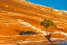 USA, New Mexico, Gallup, Red Rock Park. Sunrise and snow on mountain. Art Print